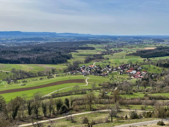 25-03-21 12-15-04 2480